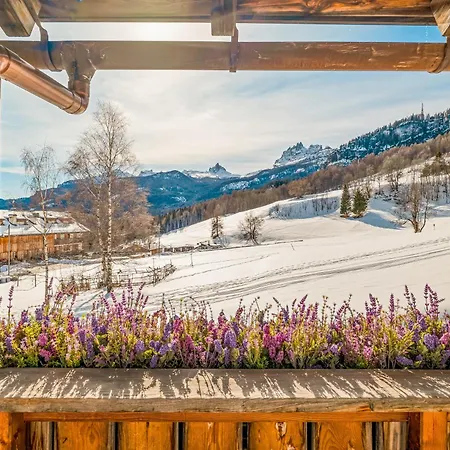 Apartamento Mortisa, Cortina Design Pocol