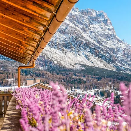 Mortisa, Cortina Design